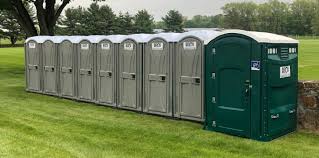 Best Standard Portable Toilet Rental  in The Homesteads, TX